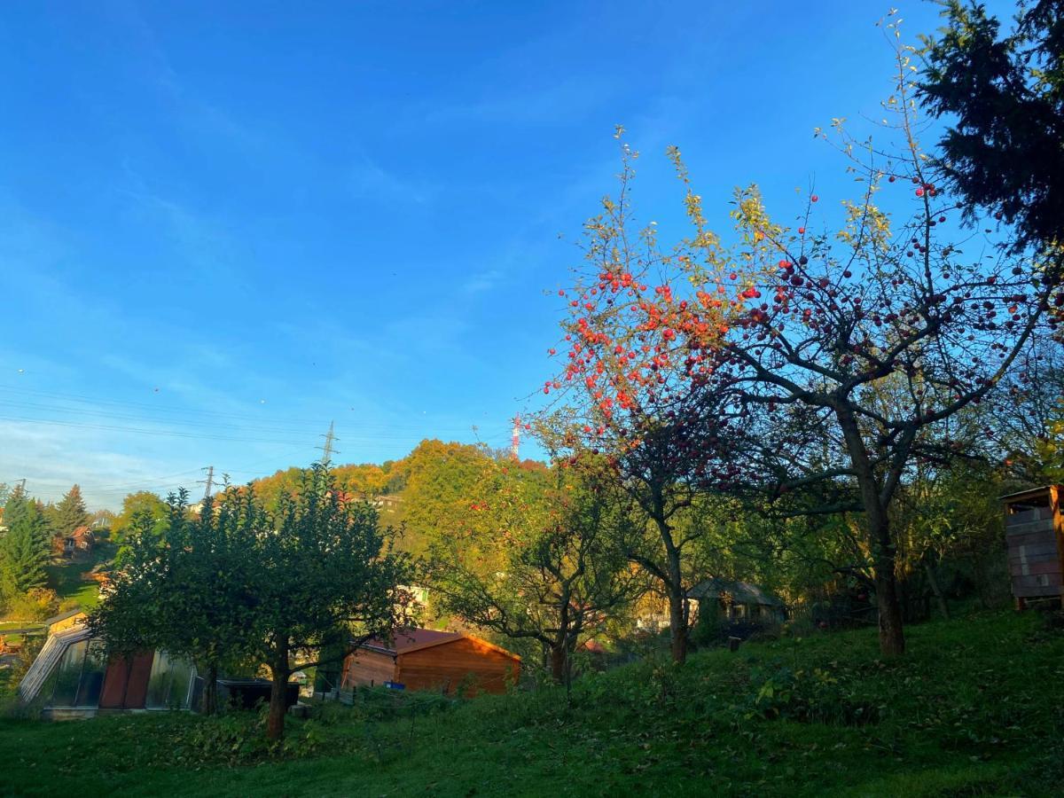 Decinska Chatka Dış mekan fotoğraf